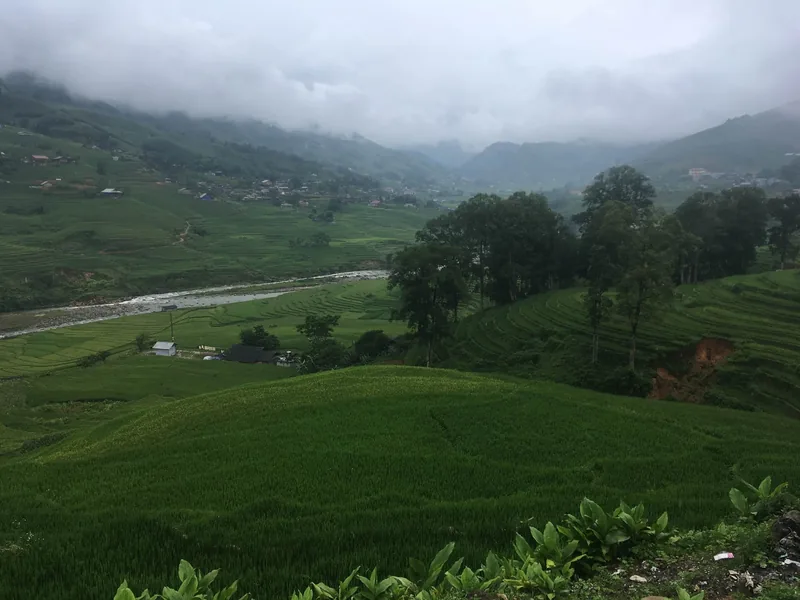 Green rice terraces line a river valley under low clouds near Sapa's Muong Hoa Valley.
